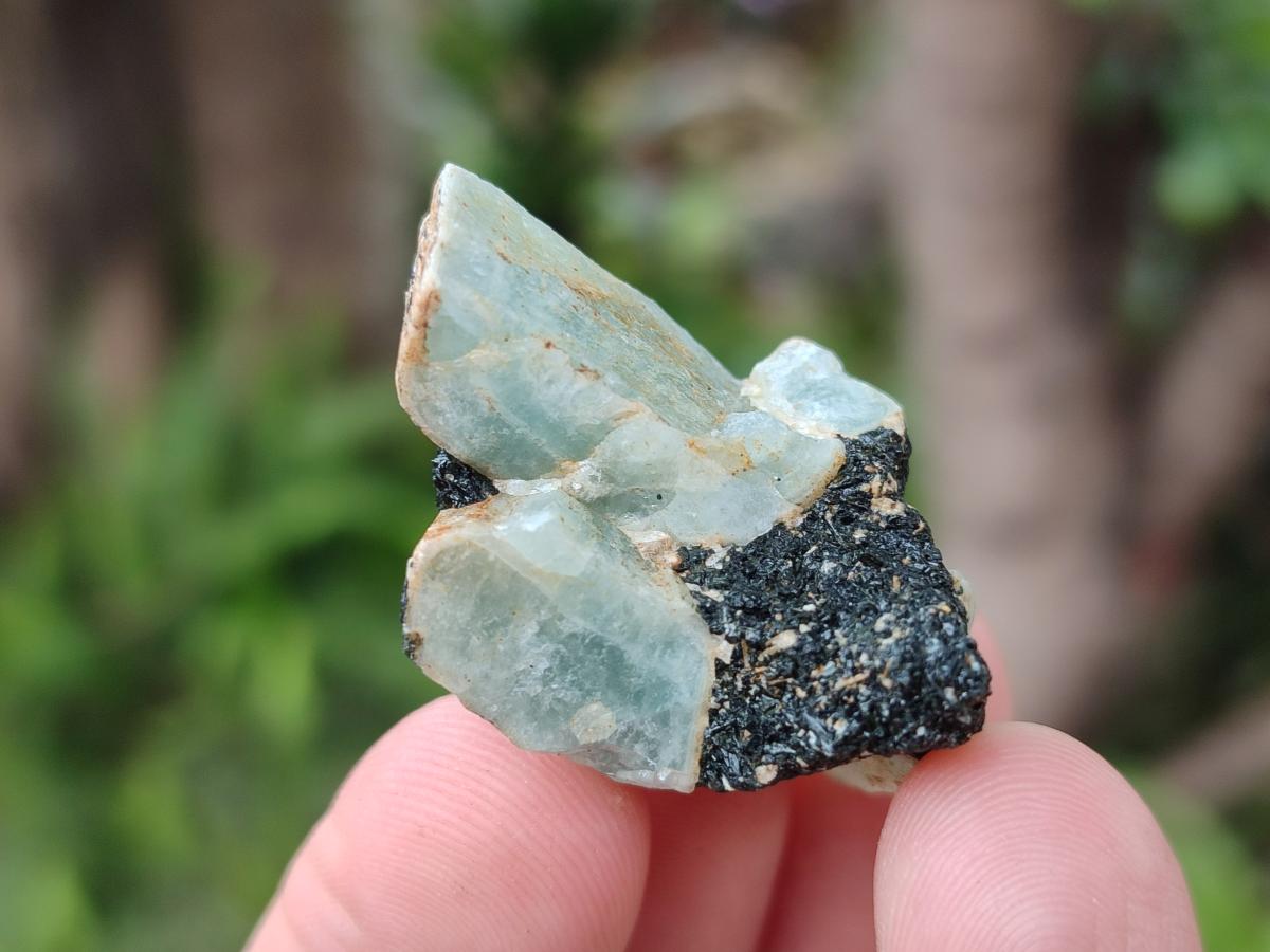 Natural Rare Aquamarine in Black Tourmaline Specimens x 76 From Karibib, Namibia