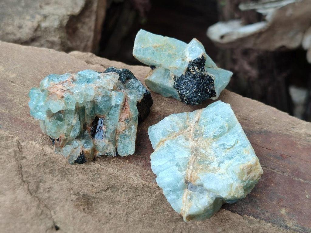 Natural Rare Aquamarine in Black Tourmaline Specimens x 76 From Karibib, Namibia