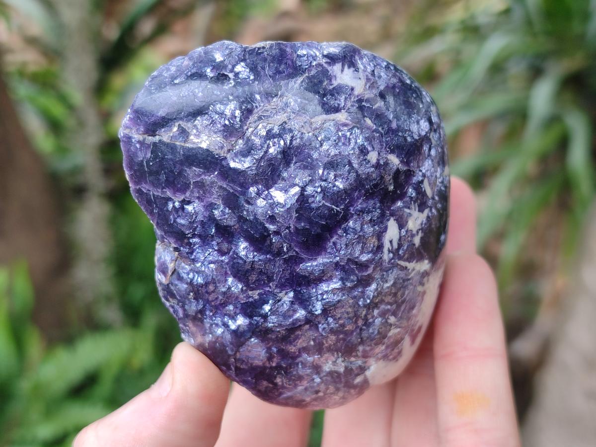 Polished One Side Silver Leaf Lepidolite x 6 From Zimbabwe