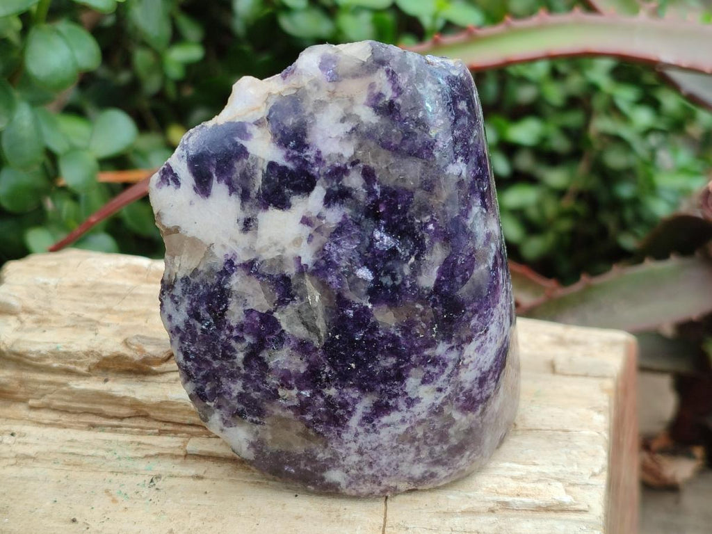 Polished One Side Silver Leaf Lepidolite x 6 From Zimbabwe