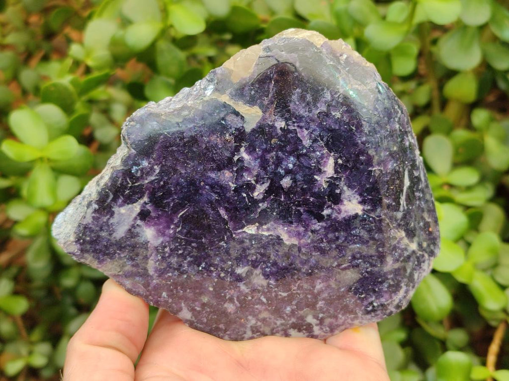 Polished One Side Silver Leaf Lepidolite x 6 From Zimbabwe