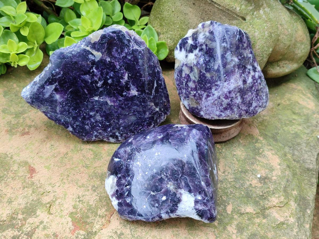 Polished One Side Silver Leaf Lepidolite x 6 From Zimbabwe