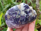 Polished One Side Silver Leaf Lepidolite x 6 From Zimbabwe