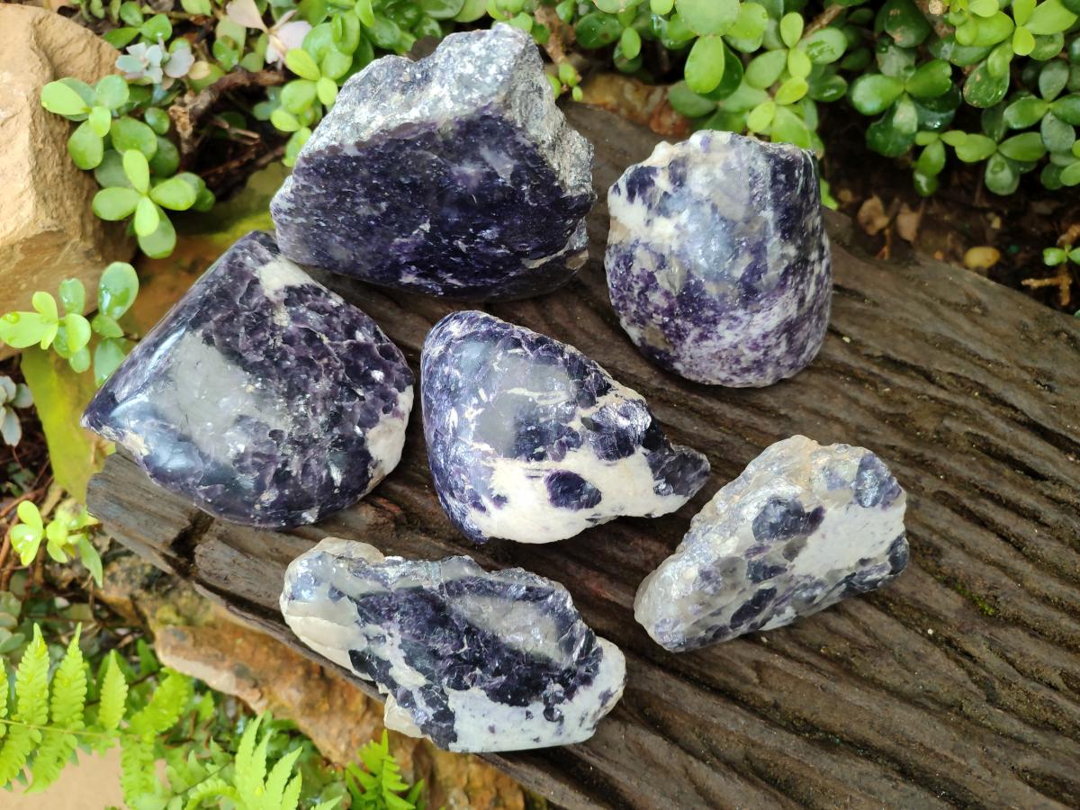 Polished One Side Silver Leaf Lepidolite x 6 From Zimbabwe