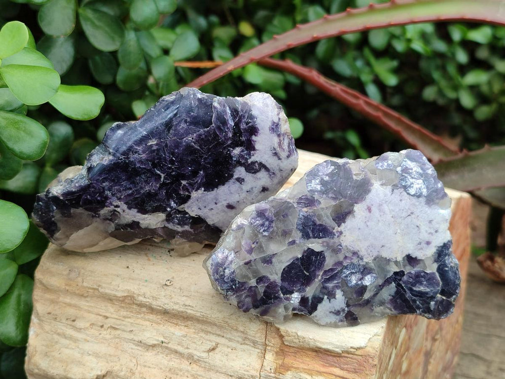 Polished One Side Silver Leaf Lepidolite x 6 From Zimbabwe