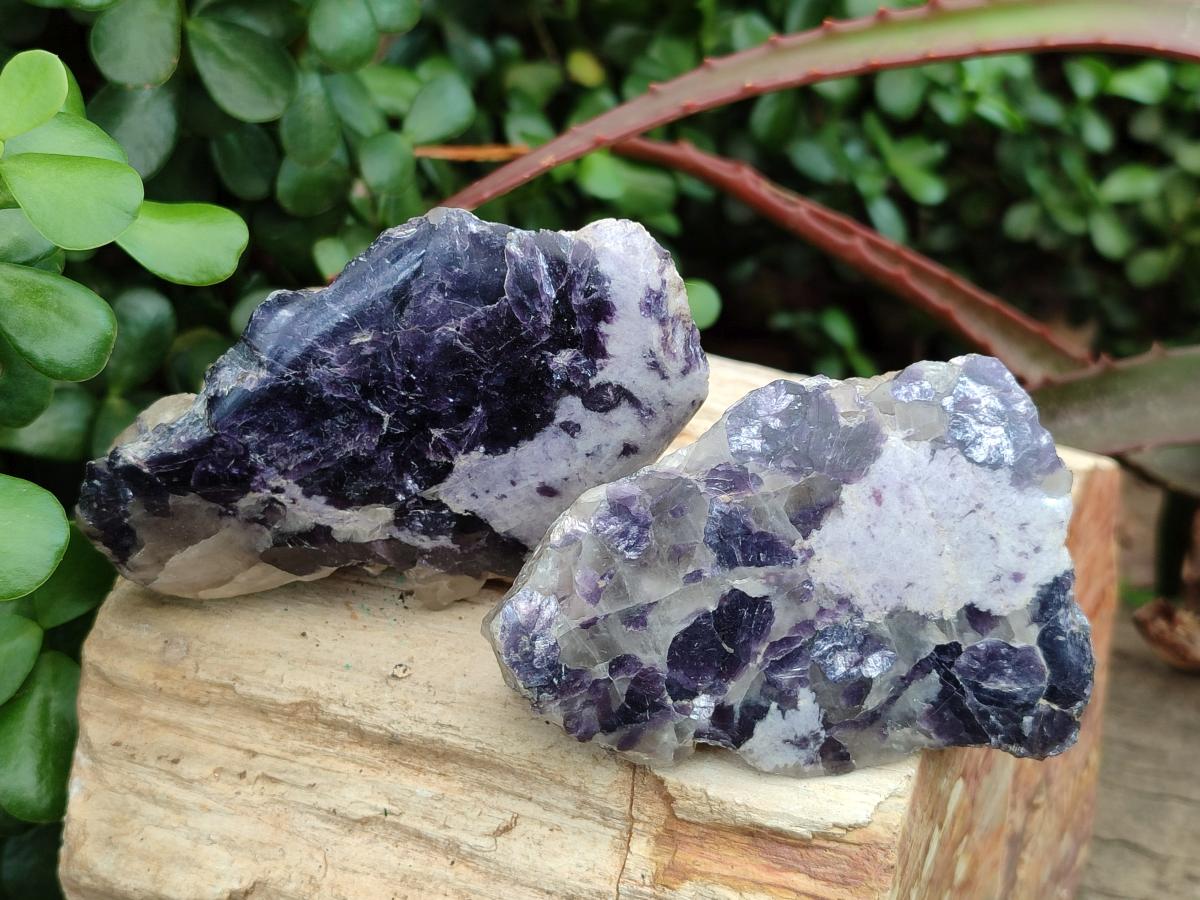 Polished One Side Silver Leaf Lepidolite x 6 From Zimbabwe
