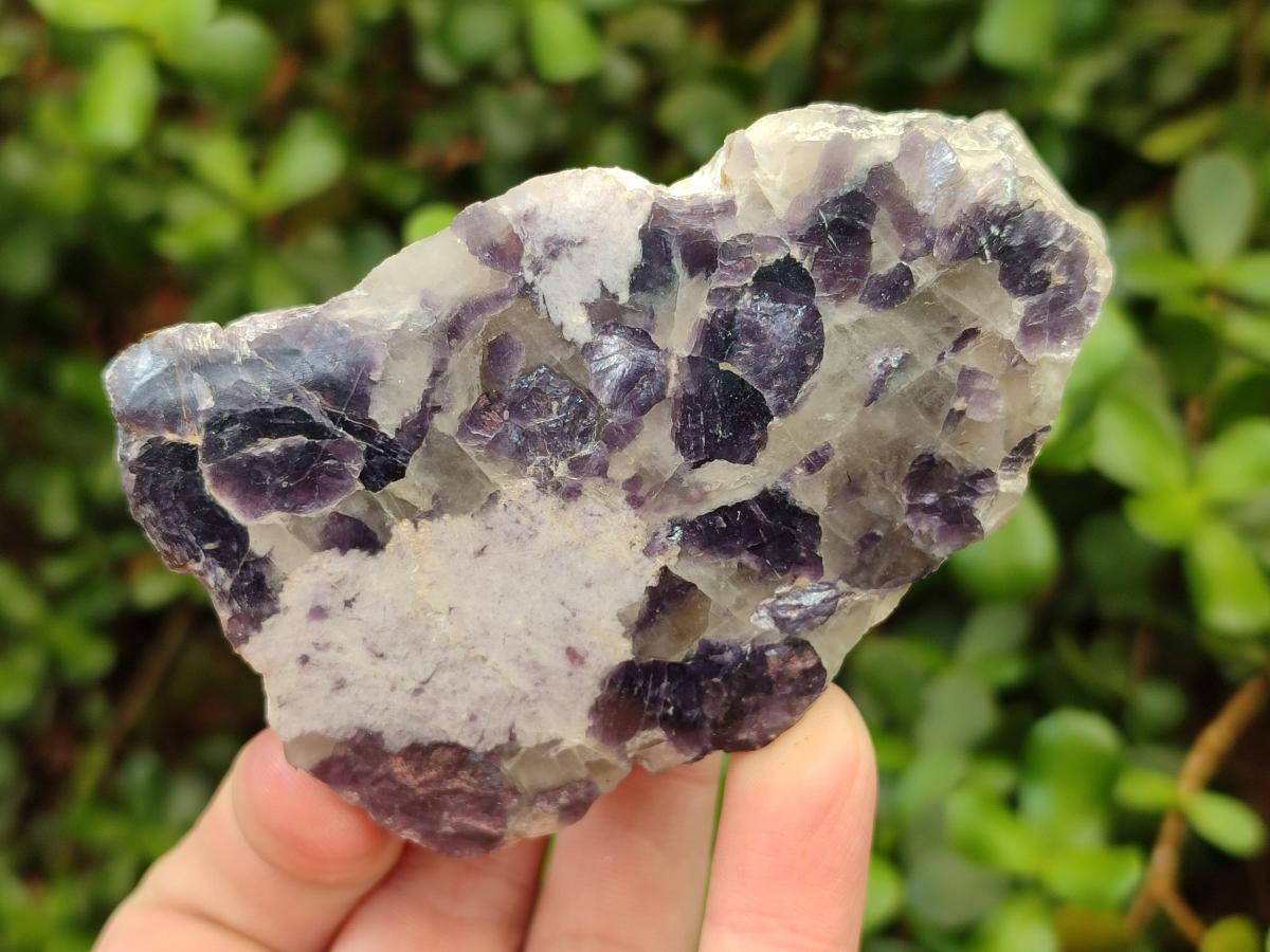 Polished One Side Silver Leaf Lepidolite x 6 From Zimbabwe