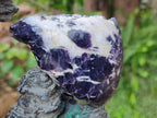 Polished One Side Silver Leaf Lepidolite x 6 From Zimbabwe