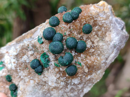 Natural Botryoidal Ball Malachite in Quartz and Dolomite x 2 From Mindingi Mine, Congo