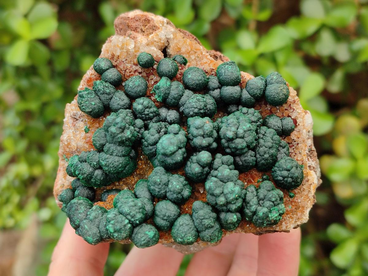 Natural Botryoidal Ball Malachite in Quartz and Dolomite x 2 From Mindingi Mine, Congo