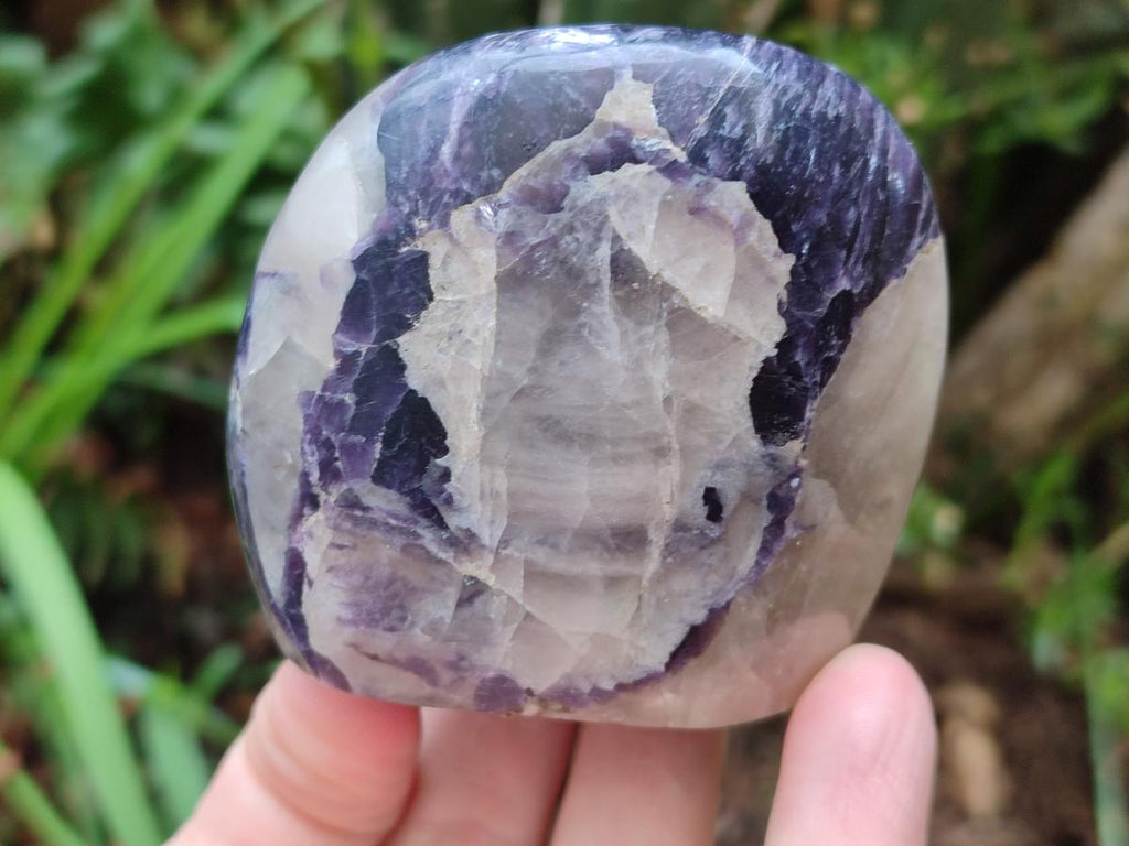Polished Silver Leaf Lepidolite Standing Display Pieces x 6 From Zimbabwe