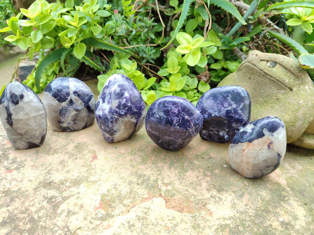 Polished Silver Leaf Lepidolite Standing Display Pieces x 6 From Zimbabwe