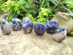 Polished Silver Leaf Lepidolite Standing Display Pieces x 6 From Zimbabwe