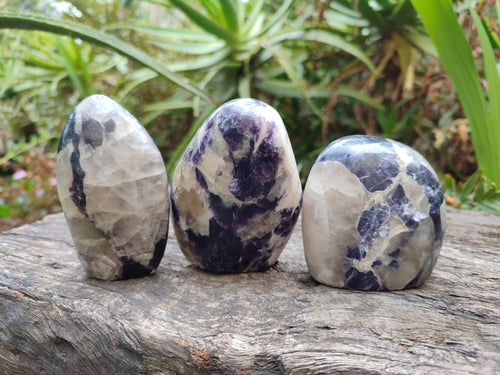 Polished Silver Leaf Lepidolite Standing Display Pieces x 6 From Zimbabwe