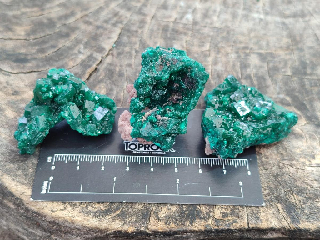 Natural Dioptase Specimens on Dolomite x 12 From Tantara Mine, Congo