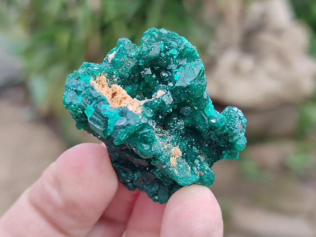 Natural Dioptase Specimens on Dolomite x 12 From Tantara Mine, Congo