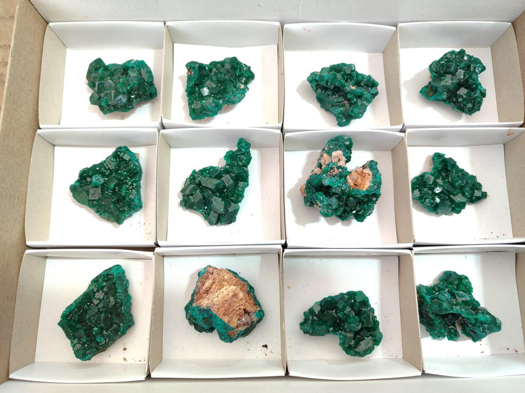 Natural Dioptase Specimens on Dolomite x 12 From Tantara Mine, Congo