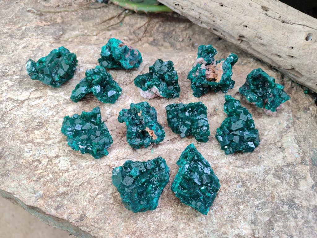 Natural Dioptase Specimens on Dolomite x 12 From Tantara Mine, Congo
