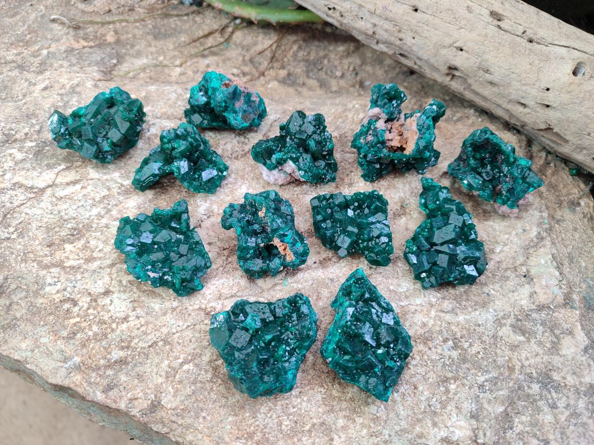 Natural Dioptase Specimens on Dolomite x 12 From Tantara Mine, Congo