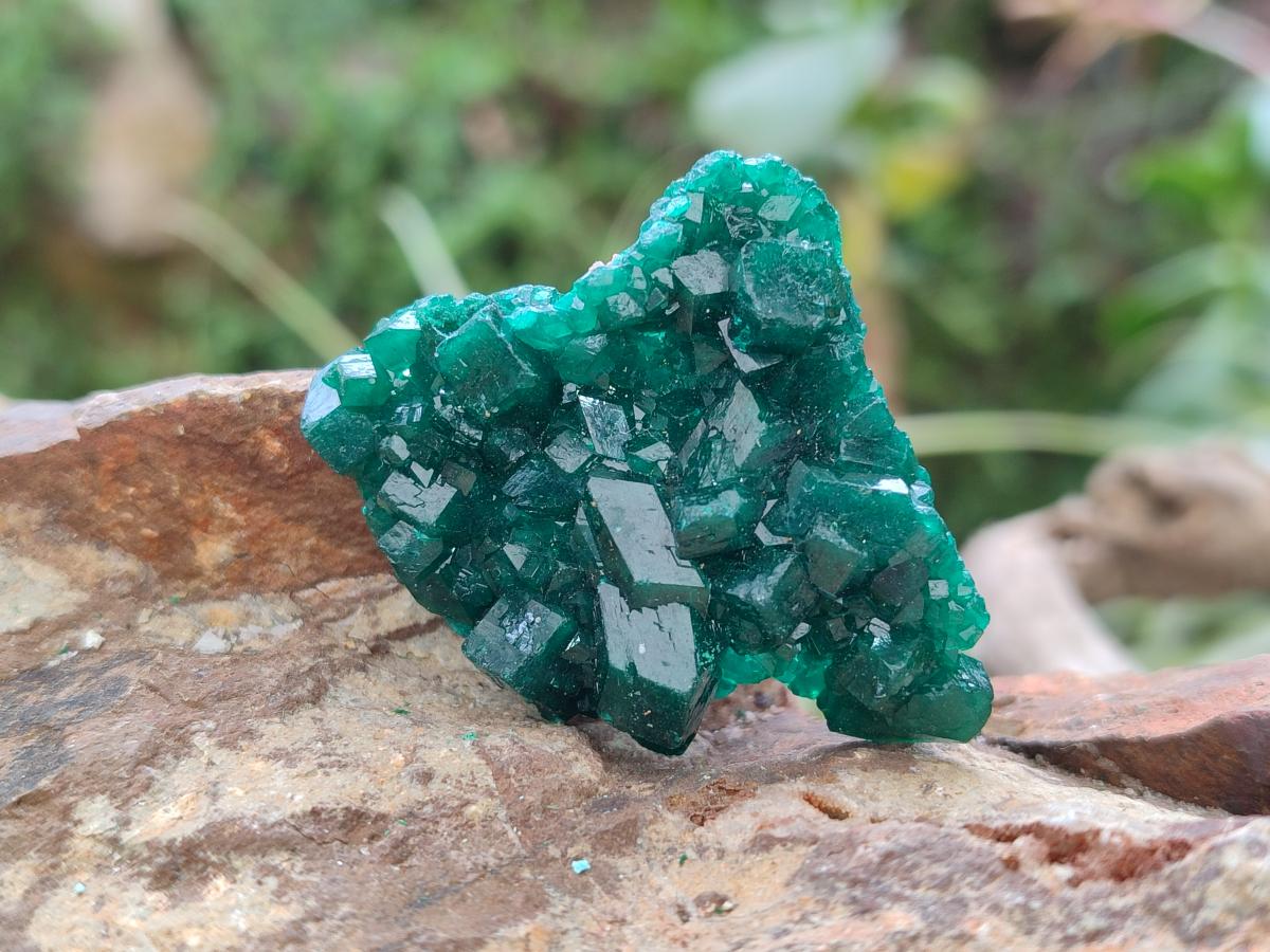 Natural Dioptase Specimens on Dolomite x 12 From Tantara Mine, Congo