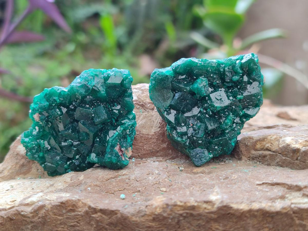 Natural Dioptase Specimens on Dolomite x 12 From Tantara Mine, Congo