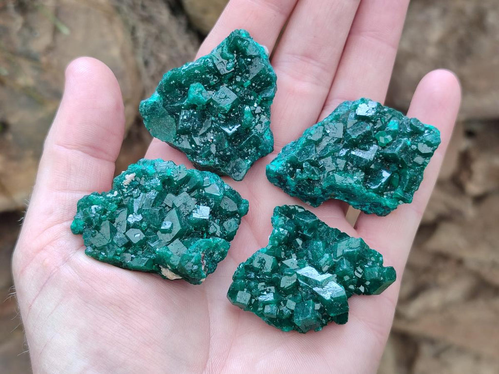 Natural Dioptase Specimens on Dolomite x 12 From Tantara Mine, Congo