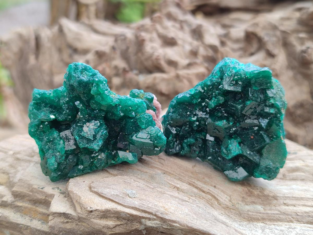 Natural Dioptase Specimens on Dolomite x 12 From Tantara Mine, Congo
