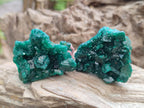 Natural Dioptase Specimens on Dolomite x 12 From Tantara Mine, Congo