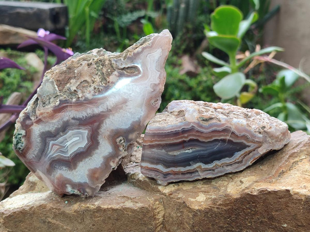 Polished One Side Red Shashe River Agate Nodules x 4 From Shashe River, Zimbabwe