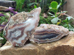 Polished One Side Red Shashe River Agate Nodules x 4 From Shashe River, Zimbabwe