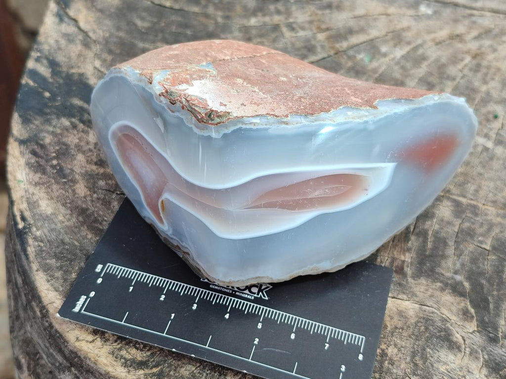 Polished One Side Red Shashe River Agate Nodules x 4 From Shashe River, Zimbabwe