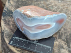 Polished One Side Red Shashe River Agate Nodules x 4 From Shashe River, Zimbabwe