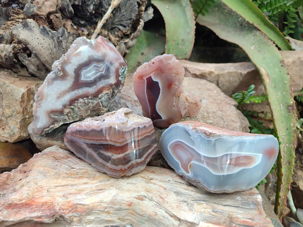 Polished One Side Red Shashe River Agate Nodules x 4 From Shashe River, Zimbabwe