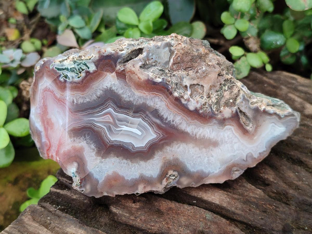 Polished One Side Red Shashe River Agate Nodules x 4 From Shashe River, Zimbabwe
