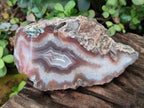 Polished One Side Red Shashe River Agate Nodules x 4 From Shashe River, Zimbabwe
