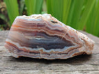 Polished One Side Red Shashe River Agate Nodules x 4 From Shashe River, Zimbabwe