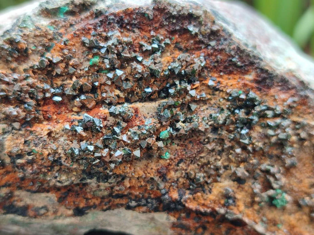 Natural Crystalline Libethenite Specimens on Dolomite Matrix x 3 From Shituru Mine, Congo