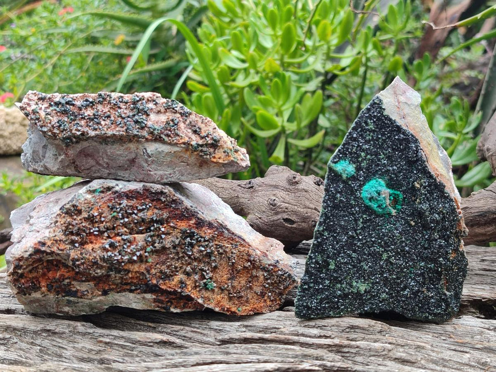 Natural Crystalline Libethenite Specimens on Dolomite Matrix x 3 From Shituru Mine, Congo