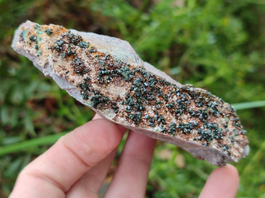 Natural Crystalline Libethenite Specimens on Dolomite Matrix x 3 From Shituru Mine, Congo