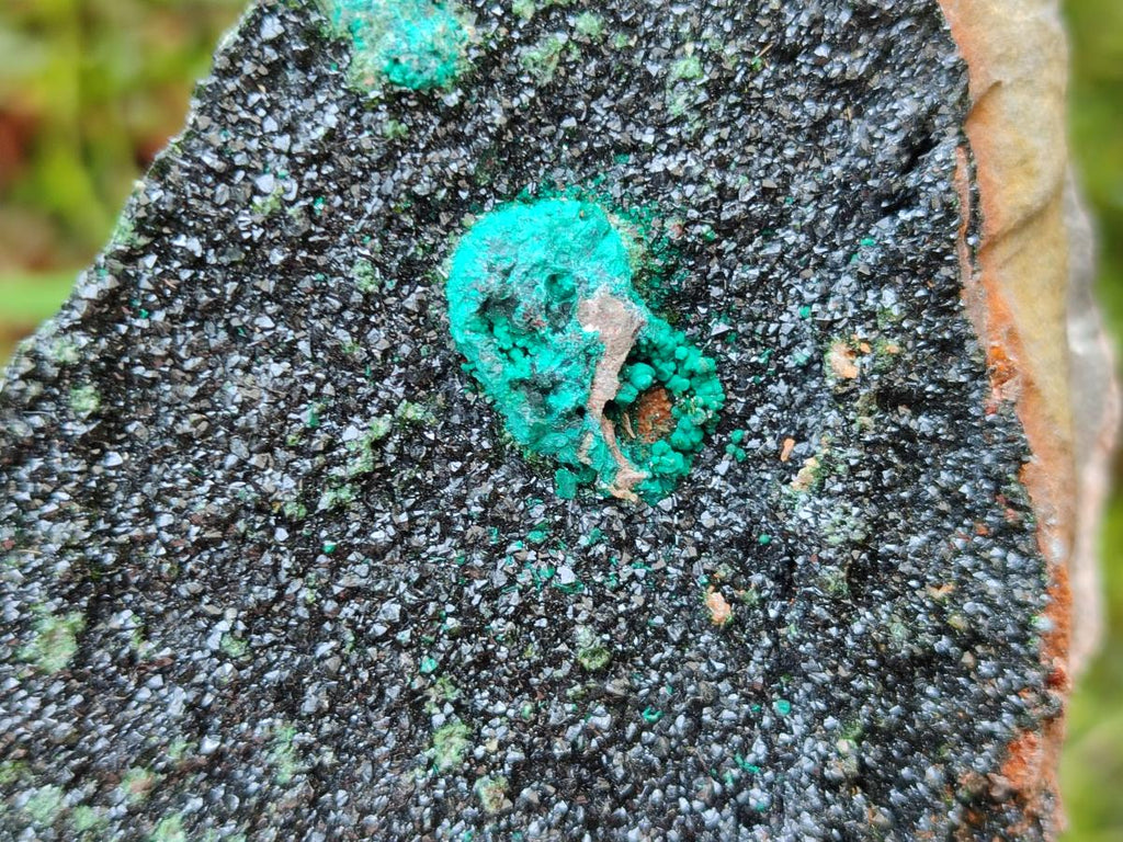 Natural Crystalline Libethenite Specimens on Dolomite Matrix x 3 From Shituru Mine, Congo