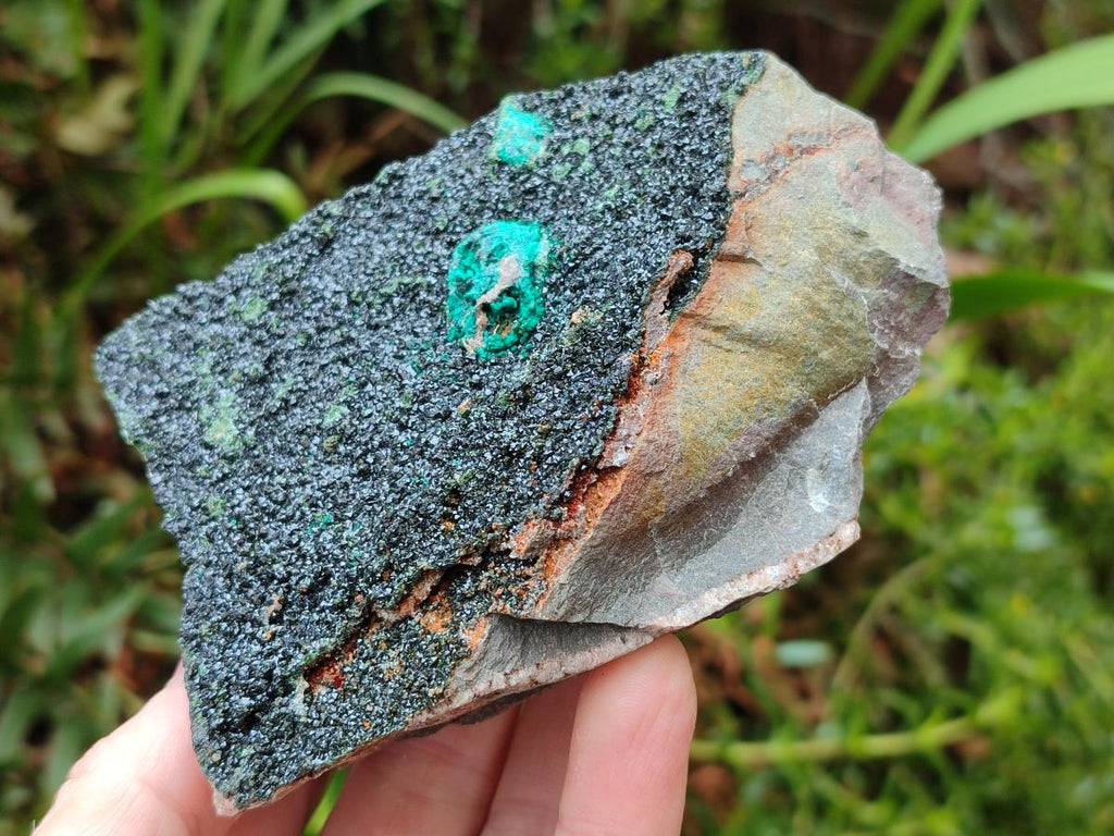 Natural Crystalline Libethenite Specimens on Dolomite Matrix x 3 From Shituru Mine, Congo
