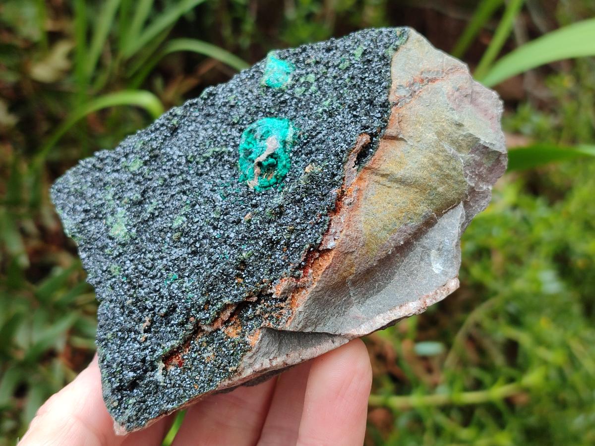 Natural Crystalline Libethenite Specimens on Dolomite Matrix x 3 From Shituru Mine, Congo