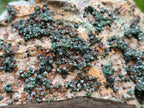 Natural Crystalline Libethenite Specimens on Dolomite Matrix x 3 From Shituru Mine, Congo