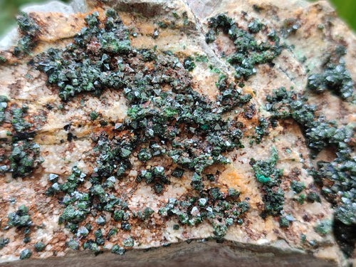 Natural Crystalline Libethenite Specimens on Dolomite Matrix x 3 From Shituru Mine, Congo