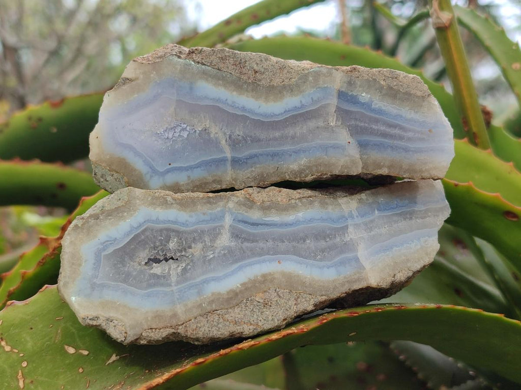 Polished One Side Blue Lace Agate Geodes Slices x 6 From Nsanje, Malawi
