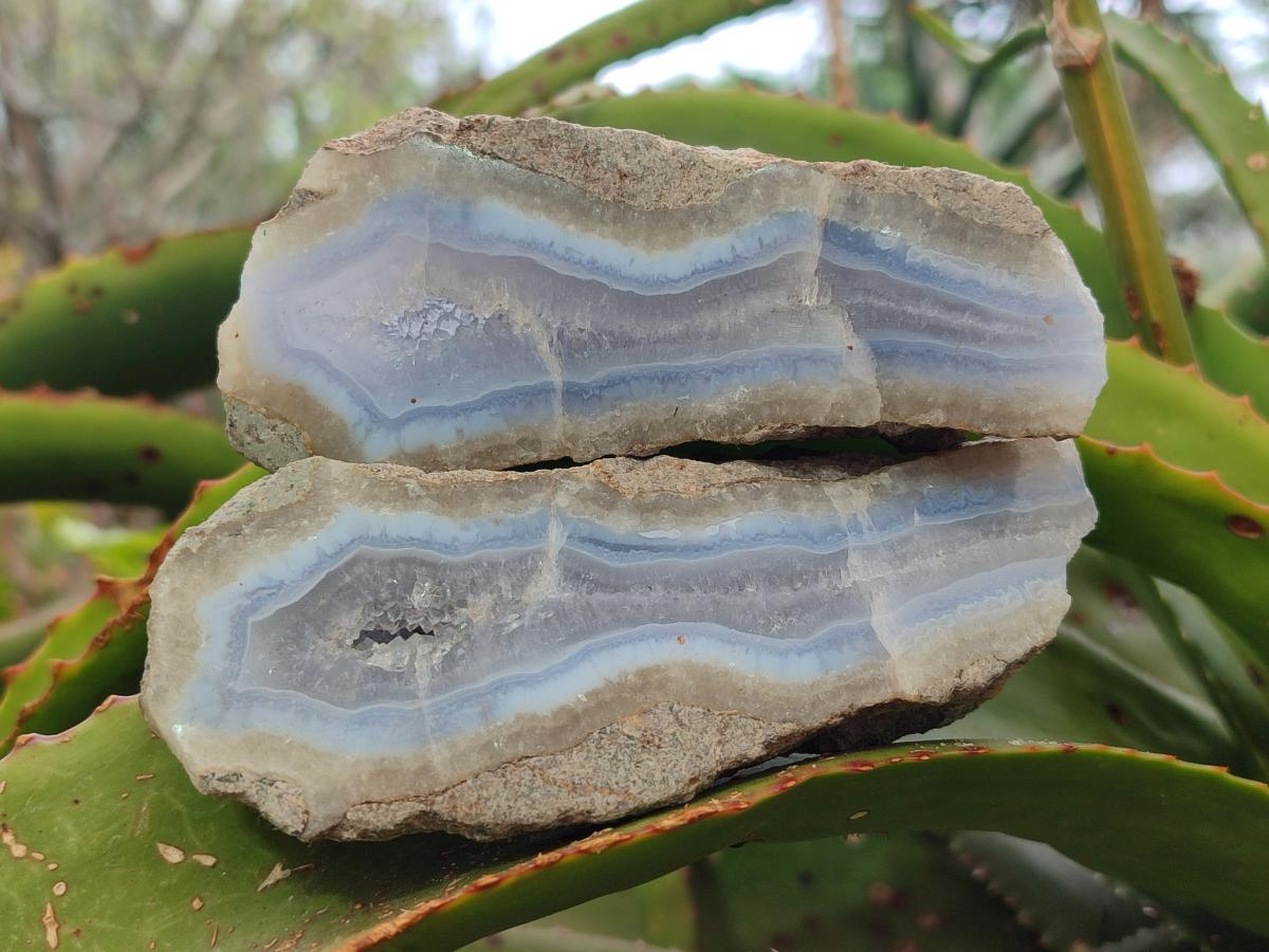 Polished One Side Blue Lace Agate Geodes Slices x 6 From Nsanje, Malawi