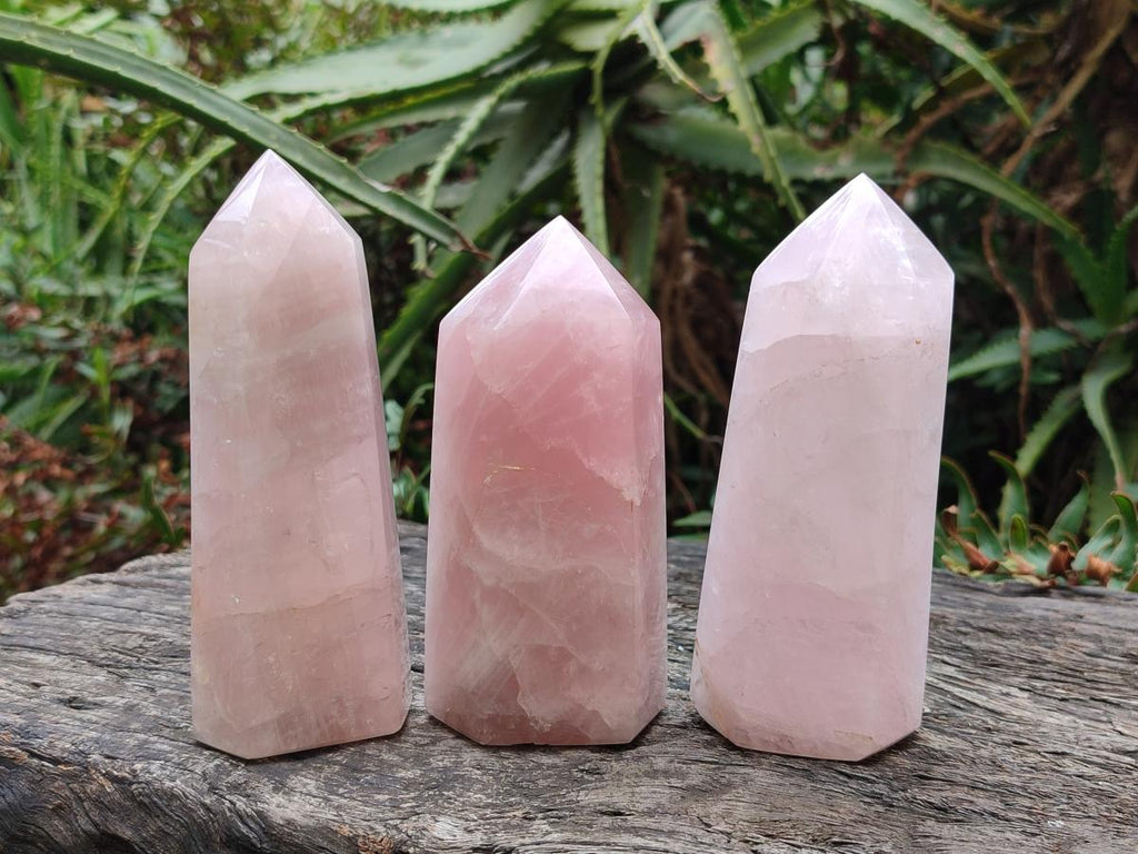 Polished Mix of Gemmy Rose Quartz Pieces x 6 From Madagascar