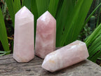 Polished Mix of Gemmy Rose Quartz Pieces x 6 From Madagascar