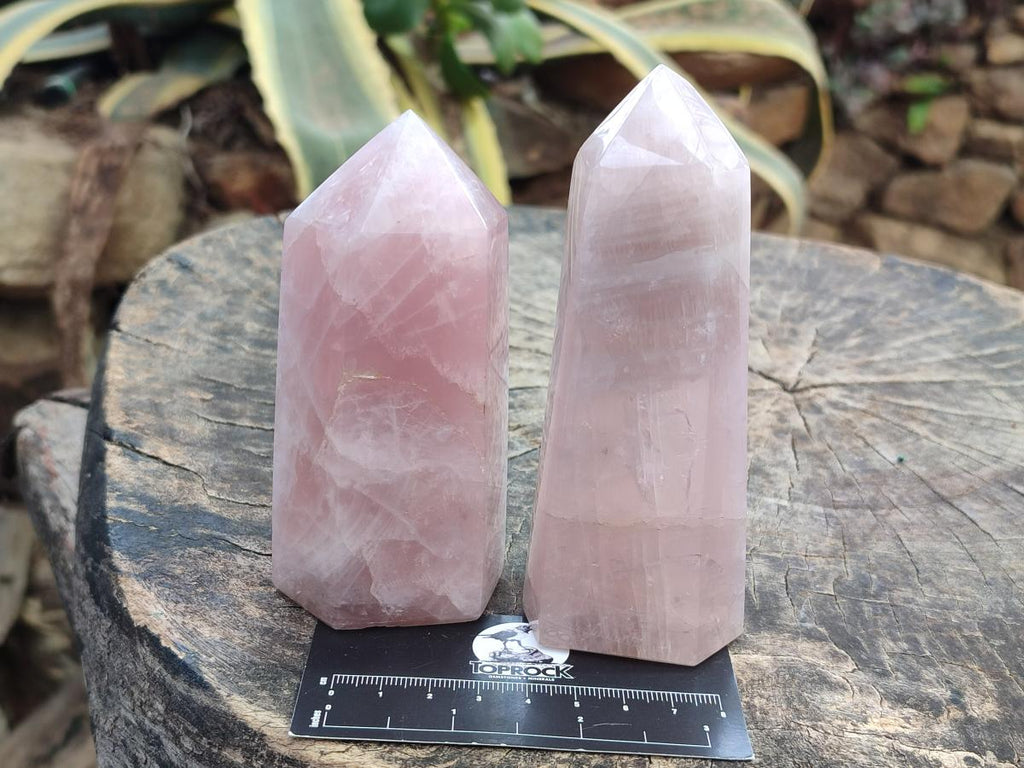 Polished Mix of Gemmy Rose Quartz Pieces x 6 From Madagascar