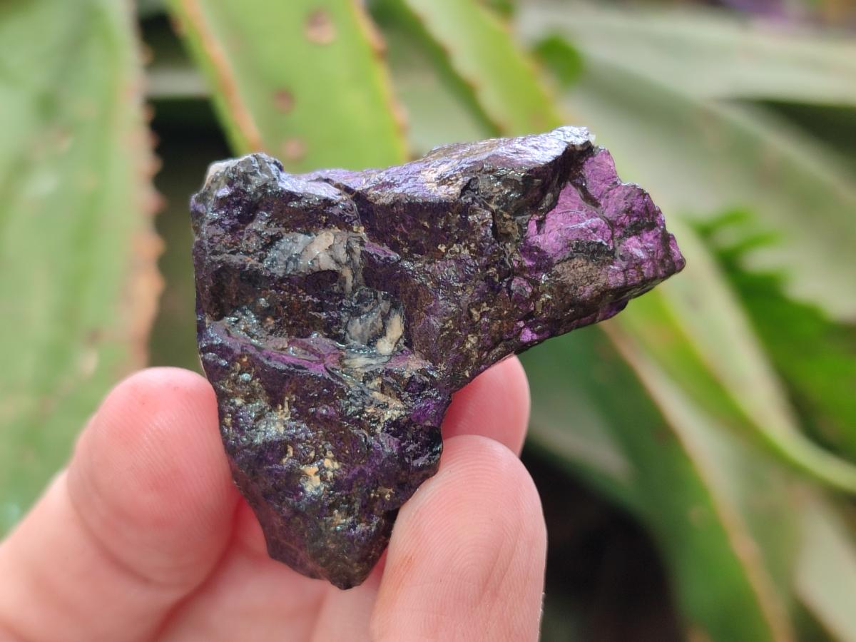 Natural Metallic Cobbed Purpurite Specimens x 70 From Erongo, Namibia - Toprock Gemstones and Minerals 